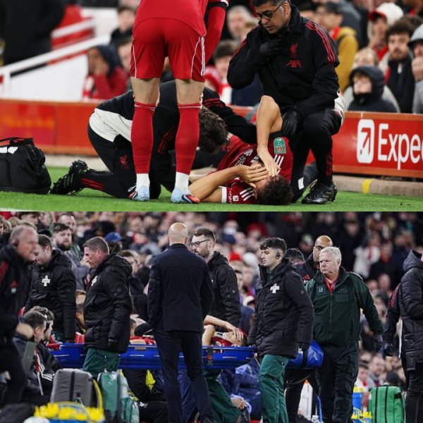 首秀重伤！斯洛特证据：莱奥尼十字韧带扯破，将伤缺约一年时分