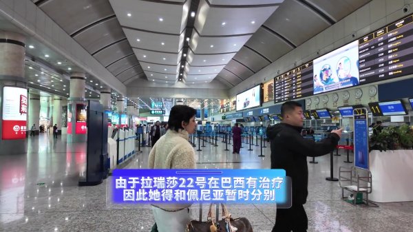 记者：大连英博外助佩尼亚为患癌细君剃秃头发，奋发踢球赢利