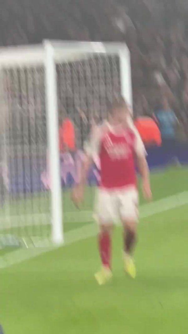 氛围真好！萨利巴劝诱饱读舞约克雷斯，推着他去作念记号性庆祝四肢